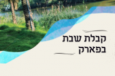 קבלת שבת בפארק