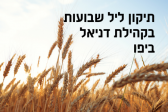 קהילת דניאל ביפו