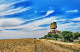 בתיה הולין | רגע לפני