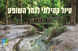 טיול קהילתי לנחל השופט